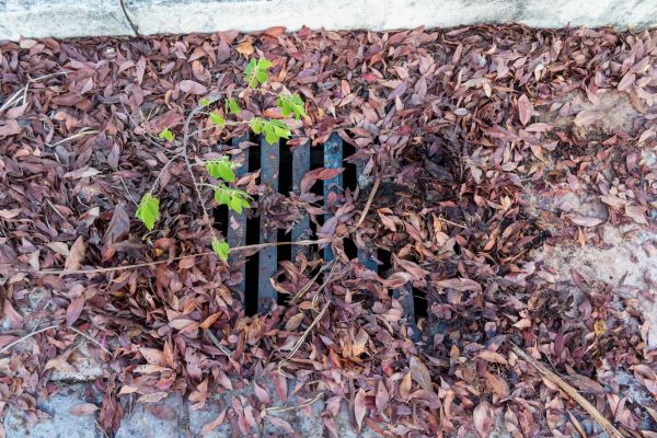 Cost of Yard Drain Unclogging in Lancaster