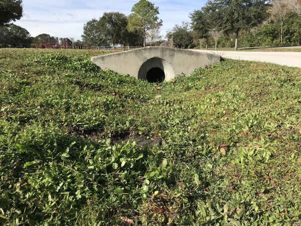 Cost of Swale Drainage Service in Lancaster